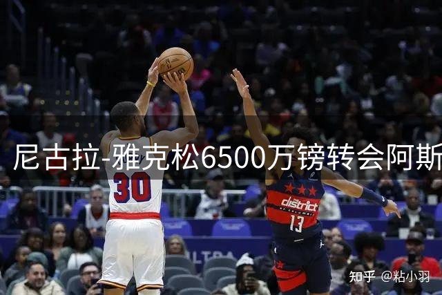 尼古拉-雅克松6500万镑转会阿斯顿维拉尘埃落定